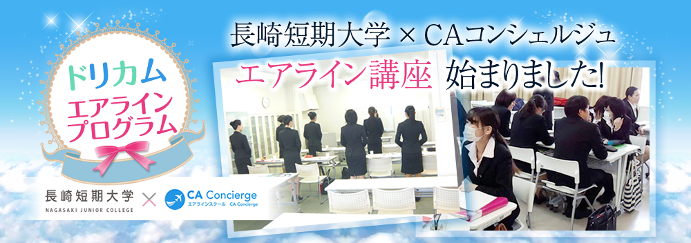 ドリカムエアラインプログラム