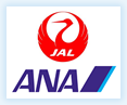 国内系エアライン